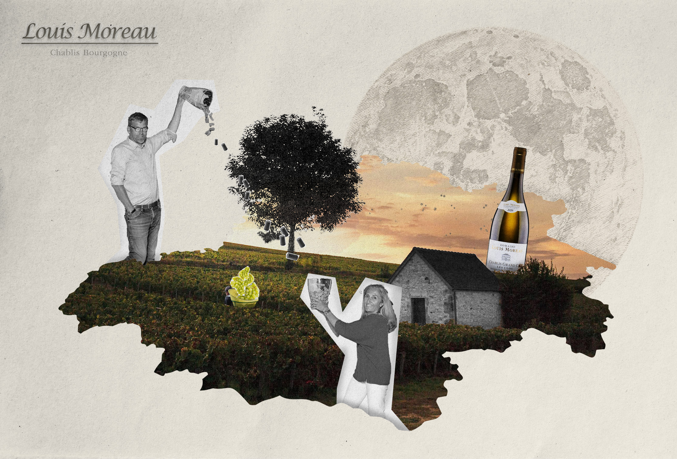 Domaine Louis Moreau Wine Dinner